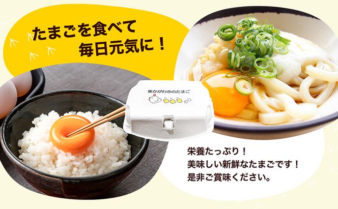 東かがわ市のちょこっと食卓応援品「鶏卵Mサイズ（6個×2P）虹のきらめき（精米2kg）うどん6人前」 たまご 卵 鶏卵 米 精米 うどん セット