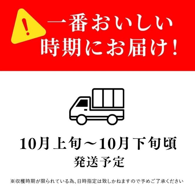【2026年10月発送】シャインマスカット 訳あり家庭用 約2kg 4～6房 マスカット ぶどう 果物 信州 長野