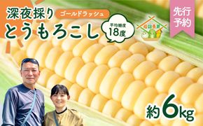 【先行予約 2026年6月中旬以降発送 】【 令和8年産 】 深夜採り 朝出荷 とうもろこし （ ゴールドラッシュ ） 約 6kg トウモロコシ スイートコーン コーン 野菜 産地直送 期間限定 極甘 岩田さん 昼めし旅 [AX019ya]