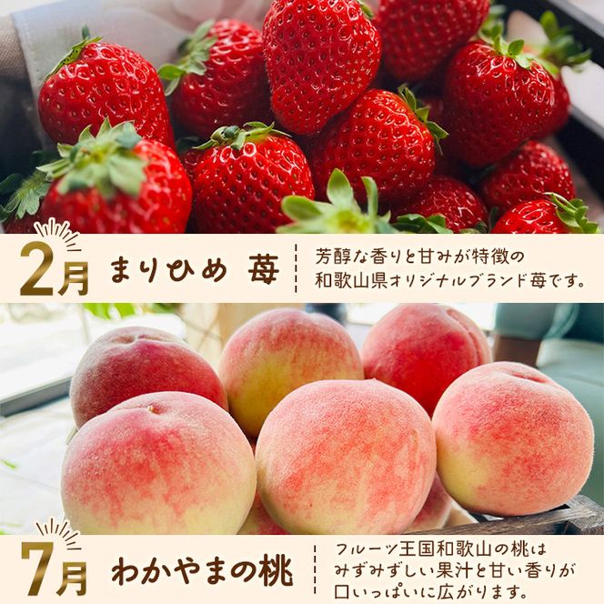 わかやま旬のフルーツ定期便[S] 全4回 2～3・7・10・11～12月発送 家庭用［MS123］ 303446_XD90104