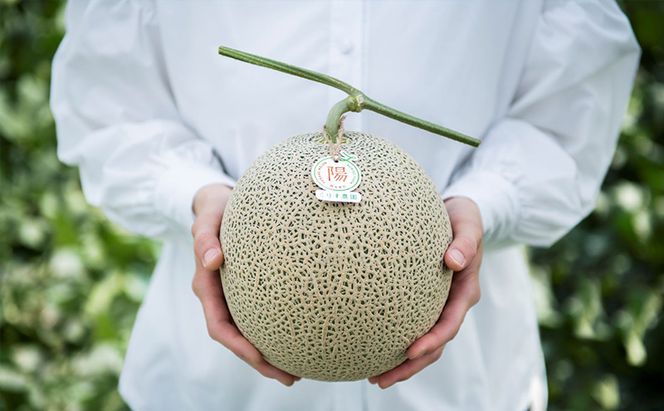 【2026年7月より順次発送】ふらのメロン「陽 ～HARU～」 赤肉＆青肉 食べ比べセット（各1玉 合計2玉：4kg以上）
