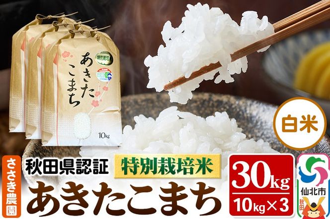 令和7年産 秋田県認証 特別栽培米 あきたこまち（白米）10kg×3袋 計30kg 米|02_ssn-013001
