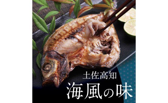 【CF-R7hbk】SST002　高知の海の干物たち＜土佐の海風で干した抜群の干物を＞＜高知市・南国市共通返礼品＞