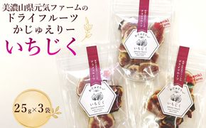 美濃山県元気ファームのドライフルーツかじゅえりー　いちじく  [No.1101]