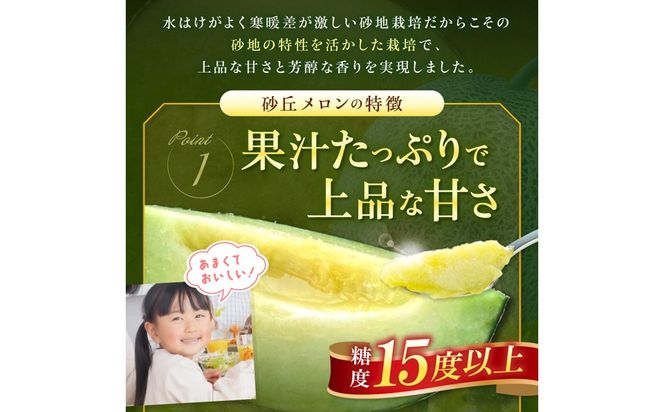 【ふるプレ限定品】【特別寄附額】【先行予約】京丹後・俵野産 砂丘メロン 2L以上 1玉（2026年7月下旬～発送）　IU00001P