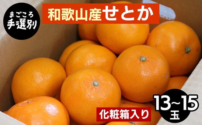 【先行予約】【まごころ手選別】和歌山県産 せとか 化粧箱 約3kg（13～15玉）秀品 M～2Lサイズ混合 柑橘	