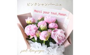 【母の日】ピンクシャンパーニュ＜お届け日：2026年5/4～5/10 当店おまかせ ＞母の日カード付き【 母の日 ギフト アレンジ 花 贈り物 大阪府 門真市 】 272230_BG124