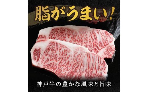 神戸牛サーロインステーキ（200g×5枚）【2412A00105】