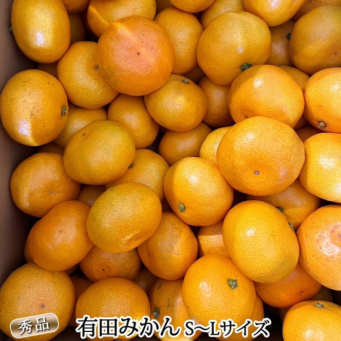 DZ6009n_01_【2027年1月発送】秀品 有田みかん 和歌山県産 S～Lサイズ 大きさお任せ 約3kg