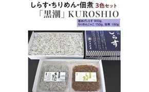 しらす・ちりめん・佃煮3色セット「黒潮」 KUROSHIO / シラス 厳選 小分け 冷蔵便【dig010】