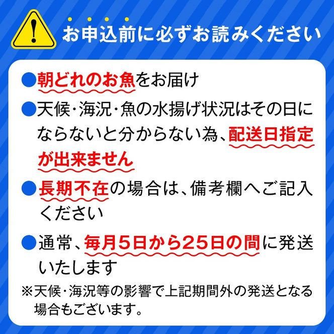 【単月お届け】大和海商　大和の高級お刺身　4人前　冷凍　N072-A0388_2