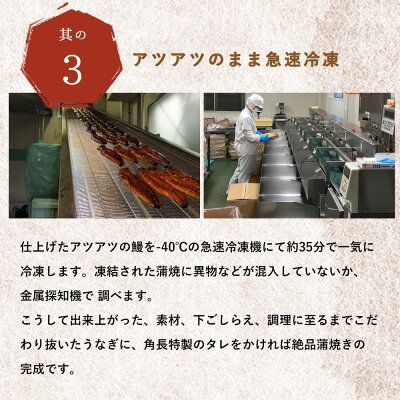 うなぎ蒲焼 4尾 & 蒲焼タレ 2本 セット 国産 安全 ふっくら うなぎ 特製 タレ 土用 丑の日 こだわり 蒲焼き 贈答 贈り物 ギフト 急速冷凍 うな丼 うな重 う巻き ひつまぶし うなむすび 濃厚 冷凍 しいば水産 角長 お取り寄せ 和歌山県 湯浅町 送料無料_BC6007