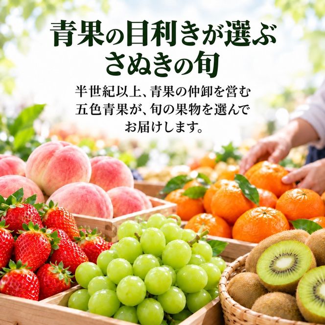 キウイ 定期便 3ヶ月 3回 キウイフルーツ 香川県産 讃岐 さぬき 約1.2kg 約1kg さぬきゴールドキウイ さぬきキウイっこ 香緑キウイ ゴールドキウイ 果物 フルーツ くだもの 10月発送 11月発送 12月発送 連続お届け 香川県 東かがわ市 46312734