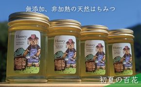 合計920g 天然蜂蜜 国産蜂蜜 非加熱 生はちみつ 岐阜県 美濃市産 初夏 (蜂蜜230g入りガラス瓶4本)B4 深田養蜂のハチミツ