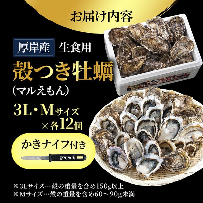 厚岸産 ブランド 殻付カキ マルえもん 生食用 サイズ食べ比べ 24個 (3L・M各12個)[ 魚貝類 生牡蠣 かき 牡蠣 カキ 生ガキ 食べ比べ ]