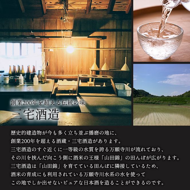 お中元 日本酒 菊日本純米大吟醸 低アルコール純米酒 Fu. セット コタニ お酒