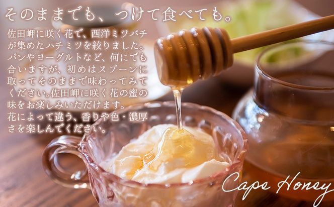 【はぜみつ・もちみつセット】岬のはちみつ2本セット IKTC002-2 