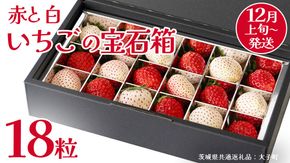 赤いちご と 白いちご の宝石箱18粒【2025年12月上旬発送開始】(茨城県共通返礼品：大子町) いちご 苺 果物 フルーツ 果実