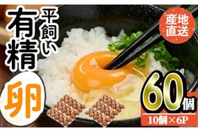 産直・平飼い有精卵 (計60個) 卵 玉子 卵かけご飯 玉子焼き 平飼い 鶏 鶏卵 養鶏場直送 朝採れ 新鮮 大分県 佐伯市 【HM02】【佐伯養鶏場】