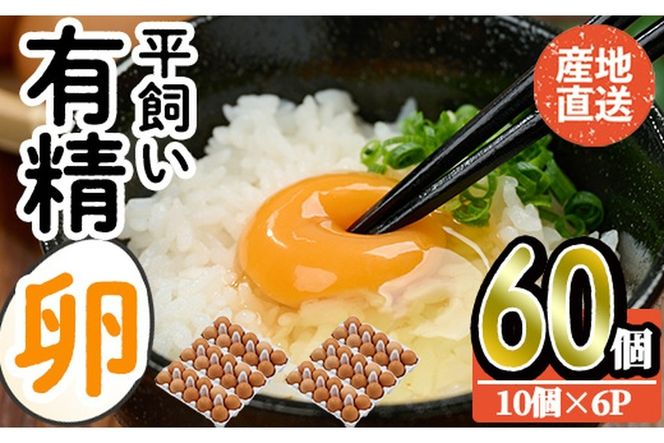 産直・平飼い有精卵 (計60個) 卵 玉子 卵かけご飯 玉子焼き 平飼い 鶏 鶏卵 養鶏場直送 朝採れ 新鮮 大分県 佐伯市 【HM02】【佐伯養鶏場】