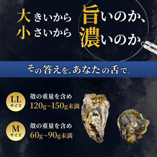 厚岸産 ブランド 殻付カキ マルえもん 生食用 サイズ食べ比べ 12個 (LL・M各6個)[ 魚貝類 生牡蠣 かき 牡蠣 カキ 生ガキ 食べ比べ ]