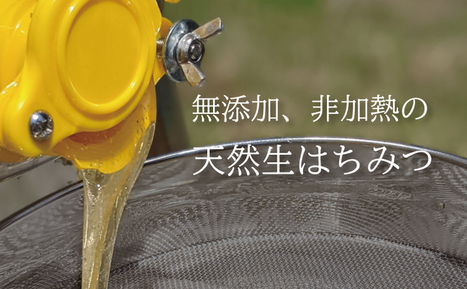 合計7200g 天然蜂蜜 国産蜂蜜 非加熱 生はちみつ 岐阜県 美濃市産 初夏 (蜂蜜300g入りピタッとボトル24本セット) B19 深田養蜂のハチミツ