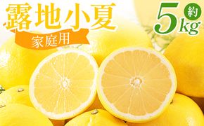 露地 小夏 5kg 家庭用 混合（M〜Lサイズ） フルーツ 果物 くだもの こなつ 5きろ ５キロ わけあり 訳あり 美味しい 高知県 香南市 nm-0005