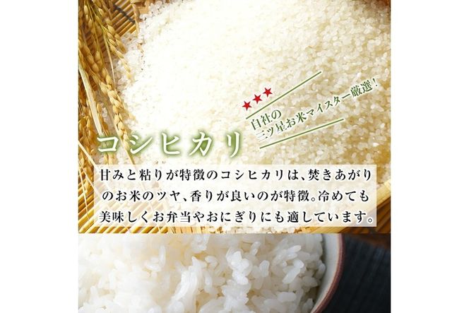 ＜令和7年産・新米＞大分 コシヒカリ 精米済 (計10kg・2kg×5袋) 小分け 個包装 スタンドパック お米マイスター 厳選 お弁当 おにぎり 佐伯市産 大分県 佐伯市 【GG01】【大分県米穀卸 (株)】