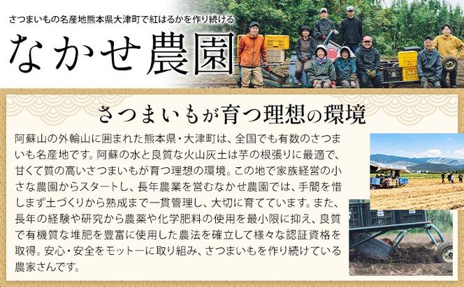 芋 熊本 県 大津 町産 なかせ 農園の蔵出しベニーモ 選べる 約 5kg (大中小サイズ不揃い)《1-5日以内に出荷予定(土日祝除く)》 さつま いも さつま芋 芋 紅 はるか スイート ポテト 干し芋にも 特産品 SDGs 中瀬農園---fn_nksimo_s_25_8000_5kg---