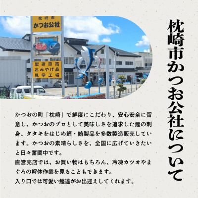 定期便(1年で4回配送)まぐろ・かつお&ご飯のお供 EE-0043 【1166764】