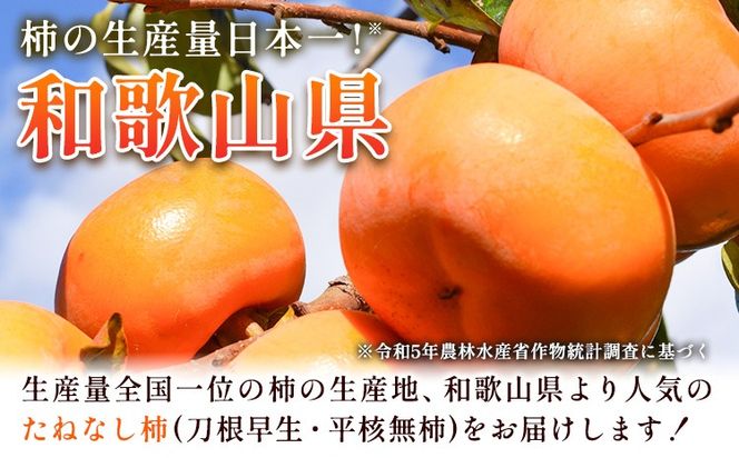 ＜10月より発送＞たねなし柿 選べる 約1kg 約2.5kg 約5kg 約7.5kg 約10kg 刀根早生 平核無柿 ひらたねなしかき 池田鹿蔵農園《10月上旬-12月上旬頃出荷》 和歌山県 日高町 柿 カキ かき たねなし ジューシー フルーツ 種無柿 種無し柿 種なし柿 無核柿---wsh_idn366_10j12j_26_8000_1kg---