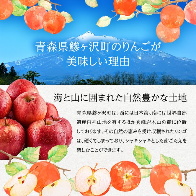 【訳あり】りんご 青森 サンふじ 約 10kg (28～36玉) リンゴ サイキチ農園 青森県 鰺ヶ沢町産 フルーツ 果物 不揃い 傷 林檎 サンフジ ふじ
