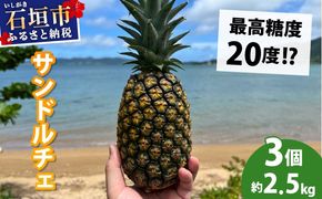 【先行予約2026年6月下旬頃から順次発送】最高糖度20度！？クリーミーな味わいが魅力の石垣島産完熟サンドルチェ 3個セット