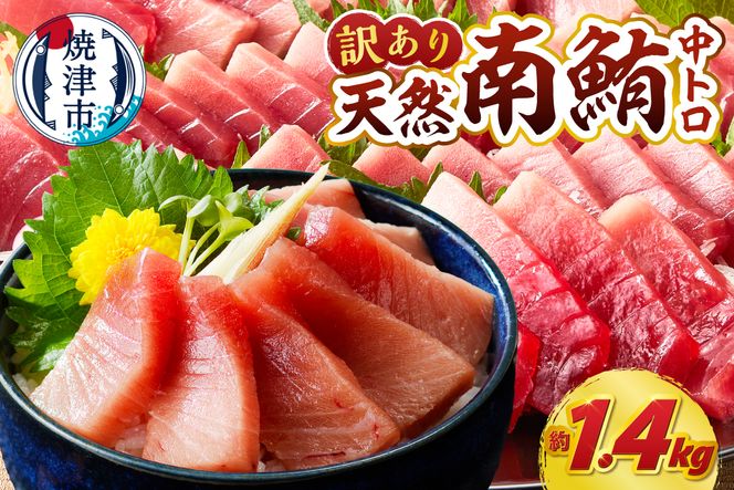 a19-060　訳あり ミナミマグロ まぐろ マグロ 鮪 刺身 中トロ 天然 切り落とし 約1.4kg