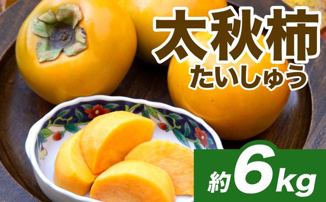 【先行予約】 太秋柿 約6kg （16～30玉） フルーツ くだもの 果物 柿 かき カキ おやつ デザート 秋の味覚 秋 旬 熊本県 八代市 【2026年10月上旬より順次発送】