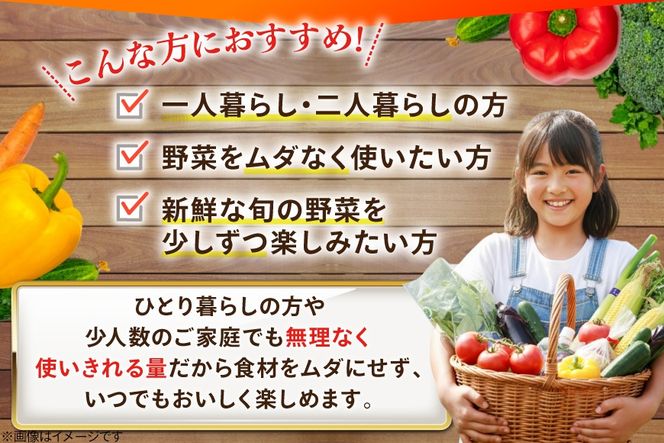 AJ313 野菜セット 5〜7品目 しそジュース付き [ 野菜 詰め合わせ 少人数用 一人暮らし 二人暮らし シソジュース 紫蘇ジュース 長崎県 島原市 ]