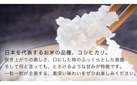 【 産地直送 】 茨城県産 無洗米 コシヒカリ 5kg 令和6年産 精米 米 お米 コメ 白米 こしひかり [CZ011ci]
