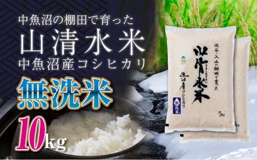 新潟県魚沼産コシヒカリ「山清水米」無洗米10kg 