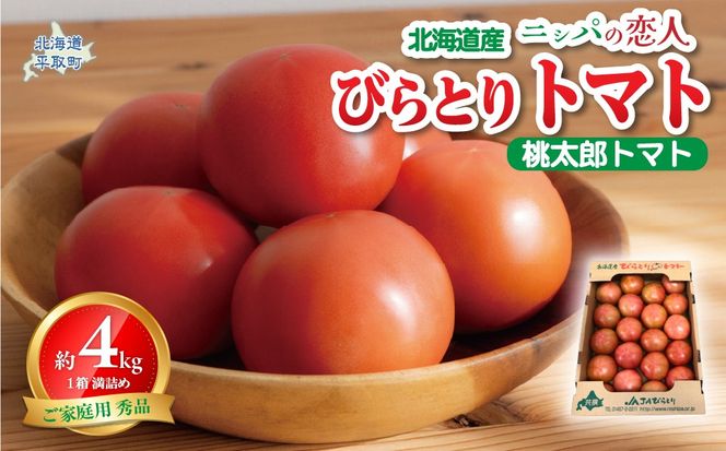 �y�k�C�����撬�z�y��s�\��/2026�N6���ȍ~�����z�y�ƒ�p�z�j�V�p�̗��l�u�т�Ƃ�g�}�g�v�G�i 1�� ��4kg�i20�`24�� ���l�߁j BRTO001