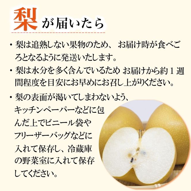 【観光農園直送！】旬の梨詰め合わせ 3kg（梨 なし ナシ 果物 フルーツ 限定）