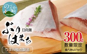 〈数量限定〉日向灘ぶり　はまち　うまみ極点製法　食べきりパック　300g　N124-YZA3304