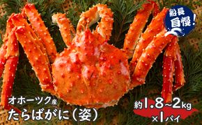 【予約：2026年12月から順次発送】オホーツク産 たらばがに 姿 1.8kg～2.0kg 冷凍 ( たらば タラバ カニ かに 蟹 魚介類 海鮮 北海道 旨味 一尾 )【114-0090】