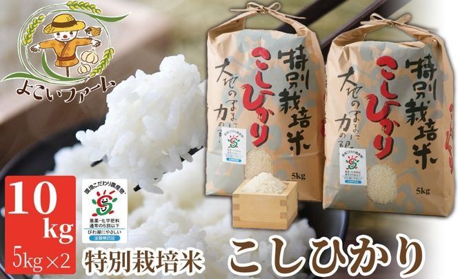 R6年産 にこまる お米 R6年産 にこまる お米