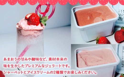 アイス いちご プレミアム あまおう ジェラート 2種 セット [THE FARM_strawberry 福岡県 宇美町 um40azo780003] イチゴ 苺 フルーツ 果実 甘い デザート