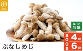 ぶなしめじ 300g × 4袋 300g × 6袋 選べる内容量 ［おぶせファーマーズ］ きのこ キノコ 野菜 鍋 炒め物 長野 信州