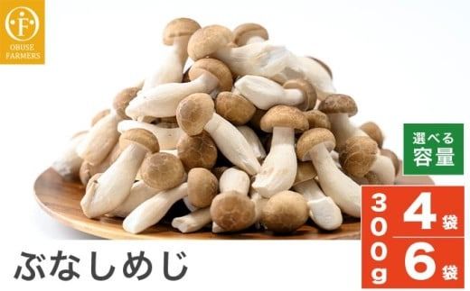 y쌧z{zԂȂ߂ 300g × 4 300g × 6 Iׂe mԂt@[}[Yn ̂ LmR   uߕ  MB