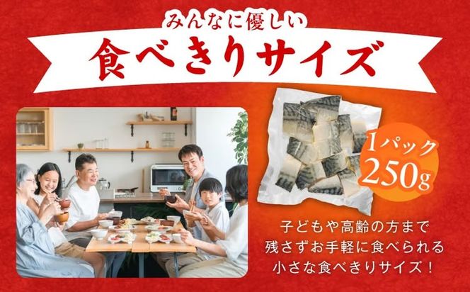 099Z576 【定期便】塩さば 1kg（250g×4P）全3回【お弁当サイズ 生活応援 サバ 小分け 青魚 塩鯖 塩サバ 切身 塩焼き 焼きさば 焼き鯖 人気 冷凍 冷凍食品 おかず 惣菜 訳あり サイズ不揃い】