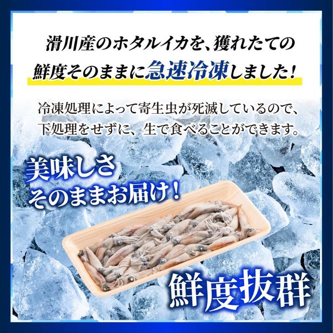 生ホタルイカ急速冷凍とオリジナル万能酢味噌付き【カネツル砂子商店】 [A-002012] 