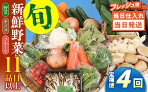 【毎月コース】野菜 キノコ 果物 11品目 詰め合わせ 4回 定期便  / 南島原市 / 吉岡青果[SCZ031]