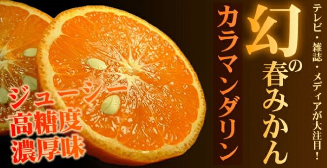 カラマンダリン 約5kg/サイズおまかせ　※2027年4月上旬～2027年5月上旬頃に順次発送予定(お届け日指定不可)　紀伊国屋文左衛門本舗　【kztb470A】